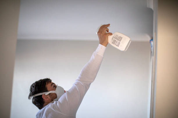 Professional Mold Removal in Edgewood, KY