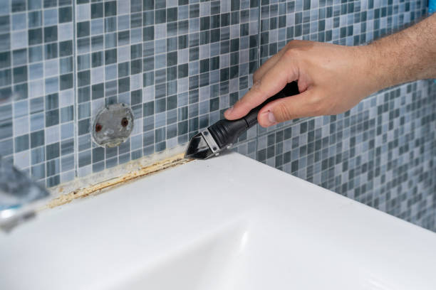 Best Mold Remediation  in Edgewood, KY